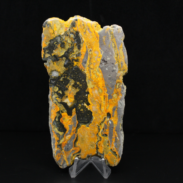 Fatia alongada de jaspe abelha polido