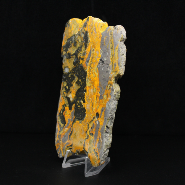 Fatia alongada de jaspe abelha polido