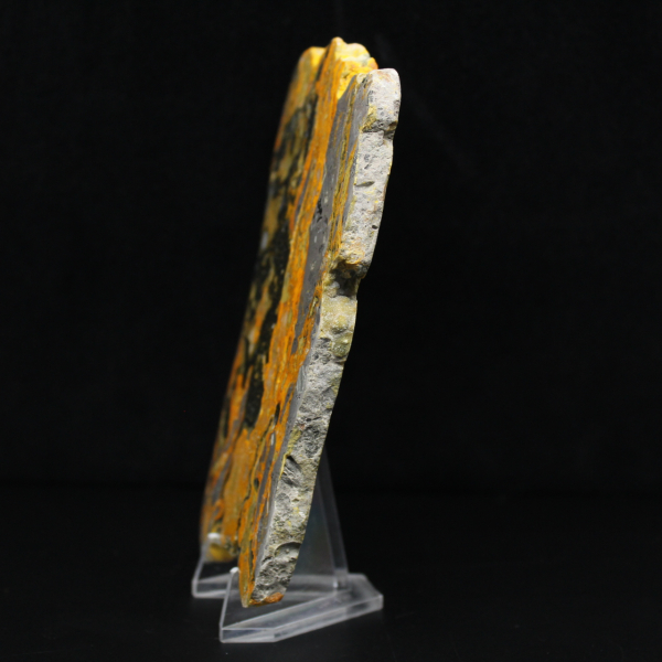 Fatia alongada de jaspe abelha polido