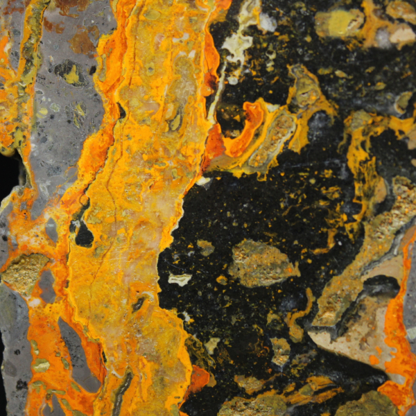 Fatia alongada de jaspe abelha polido