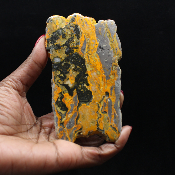 Fatia alongada de jaspe abelha polido