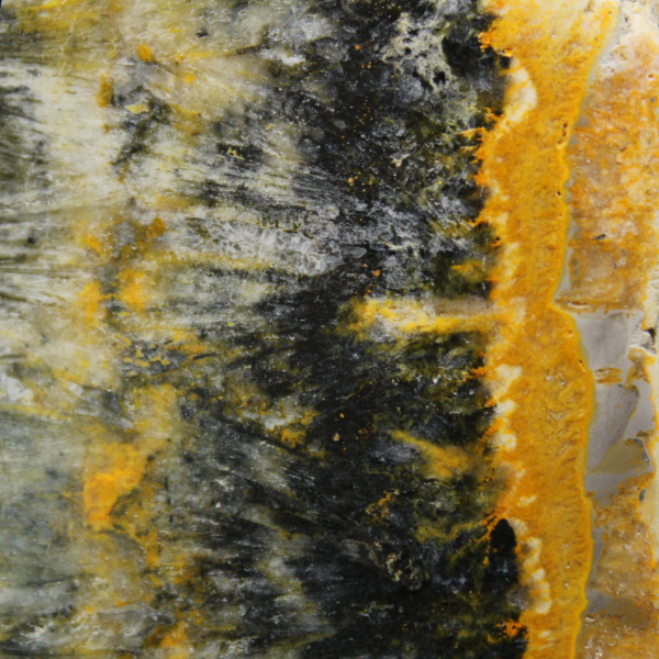 Espécime compacto polido de Jaspe Abelha