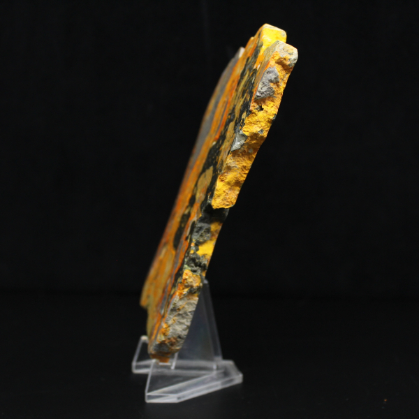 Placa de Jaspe Abelha - Energia Vulcânica