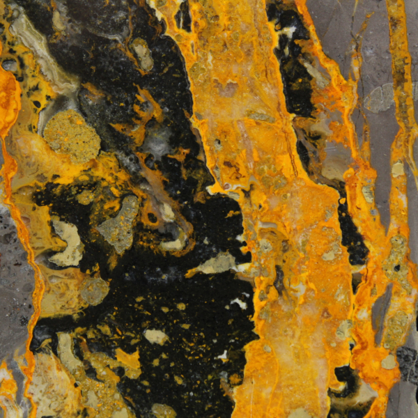 Jaspe Bumblebee: Placa polida de alta qualidade