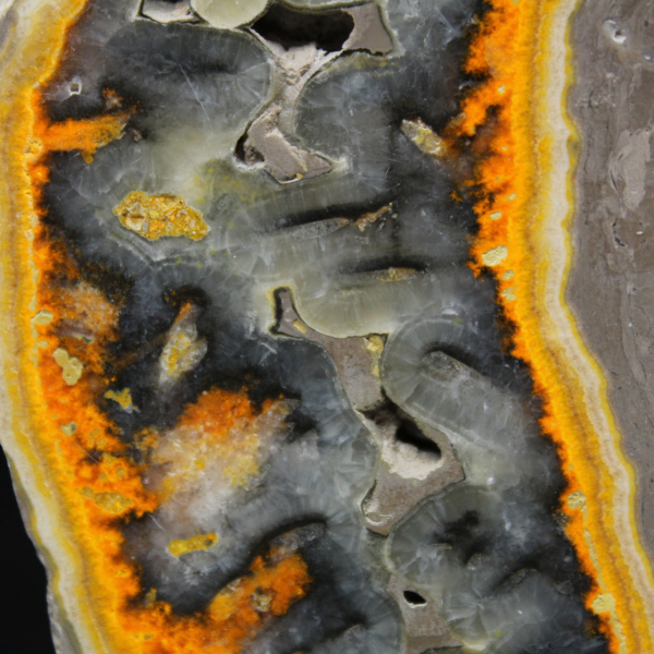 Fatia robusta de jaspe abelha indonésio