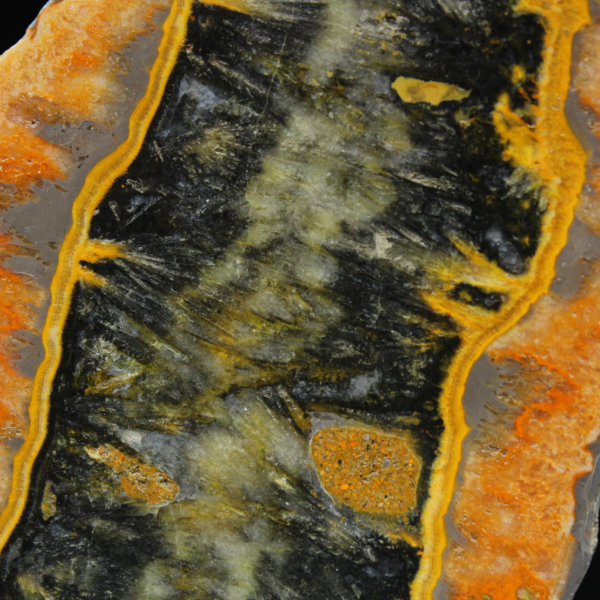 Placa de Jaspe Abelha - Equilíbrio Mineral