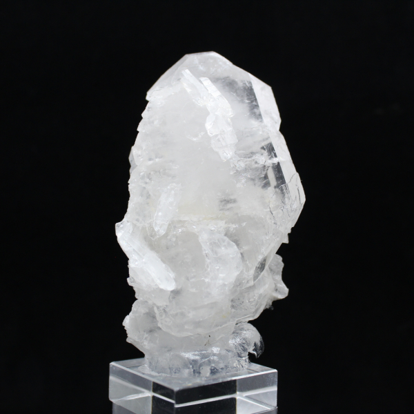 Cristal Faden