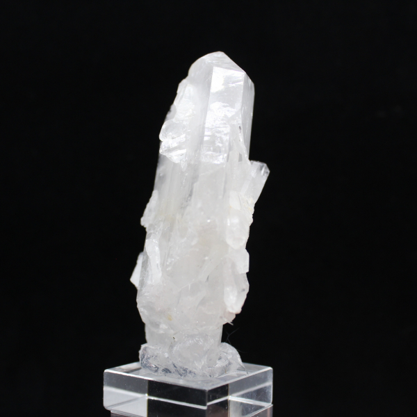 Cristal Faden