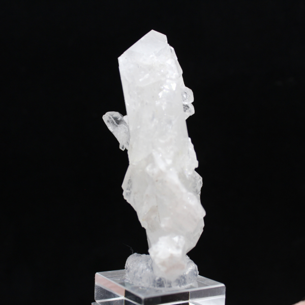 Cristal Faden