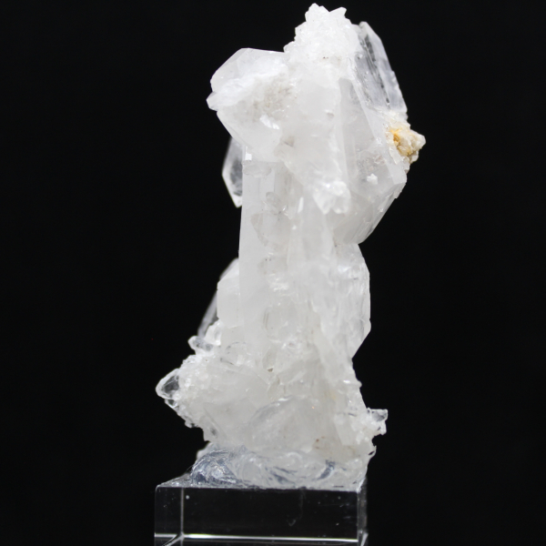 Cristal Faden