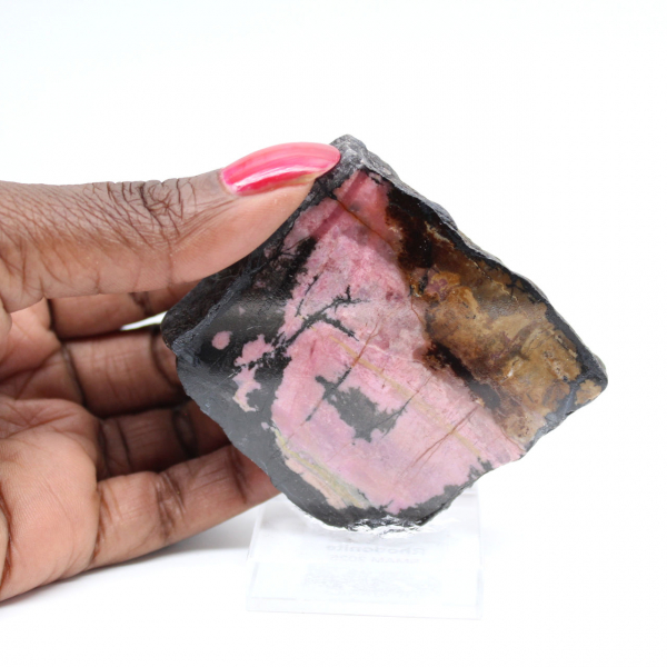 Fatia de rodonita natural para coleção de minerais