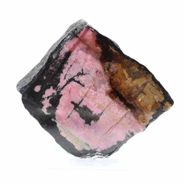 Fatia de rodonita natural para coleção de minerais