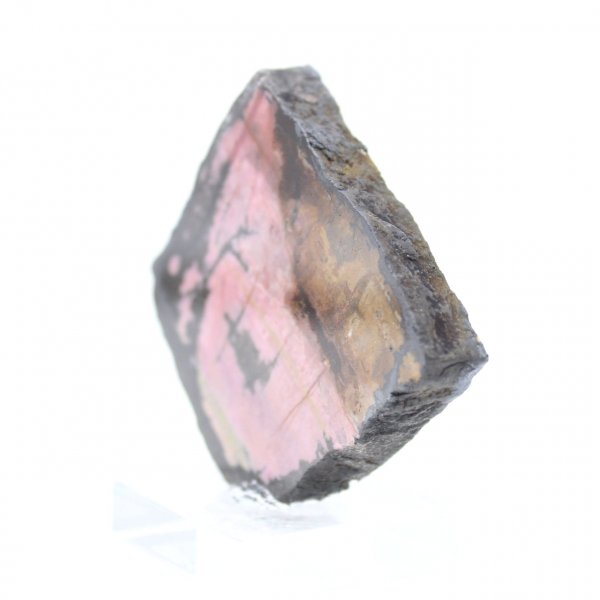 Fatia de rodonita natural para coleção de minerais