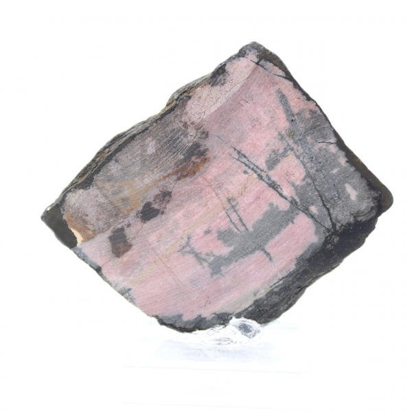 Fatia de rodonita natural para coleção de minerais