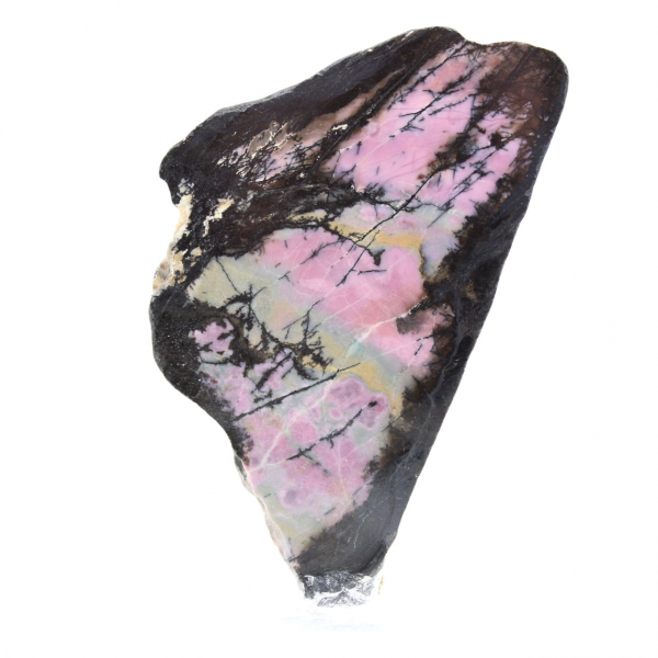 Fatia de rodonita natural para coleção de minerais