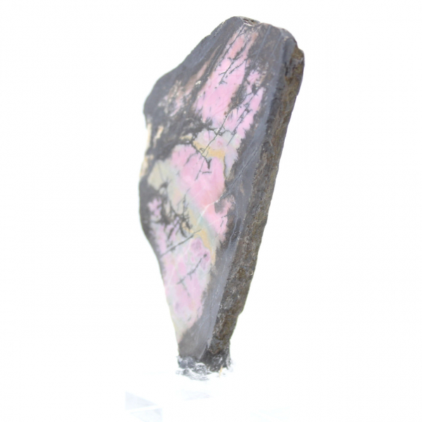 Fatia de rodonita natural para coleção de minerais