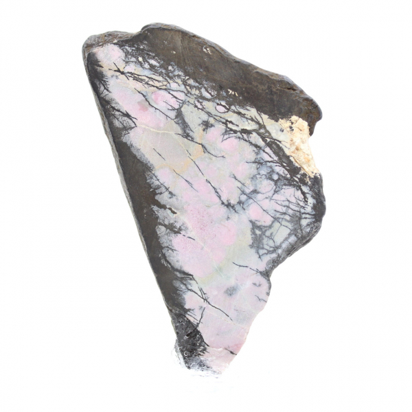 Fatia de rodonita natural para coleção de minerais