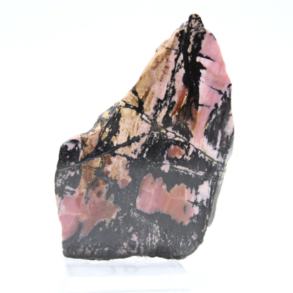 Fatia de rodonita natural para coleção de minerais