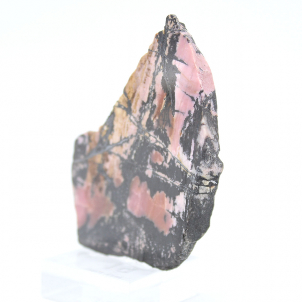 Fatia de rodonita natural para coleção de minerais