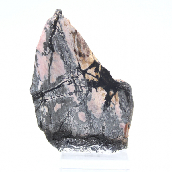 Fatia de rodonita natural para coleção de minerais