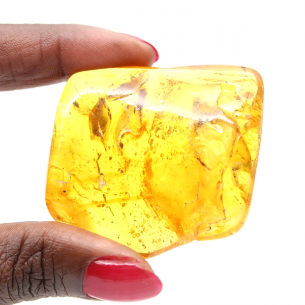 Pedra de Âmbar Amarelo do Báltico – Seixo para Coleção