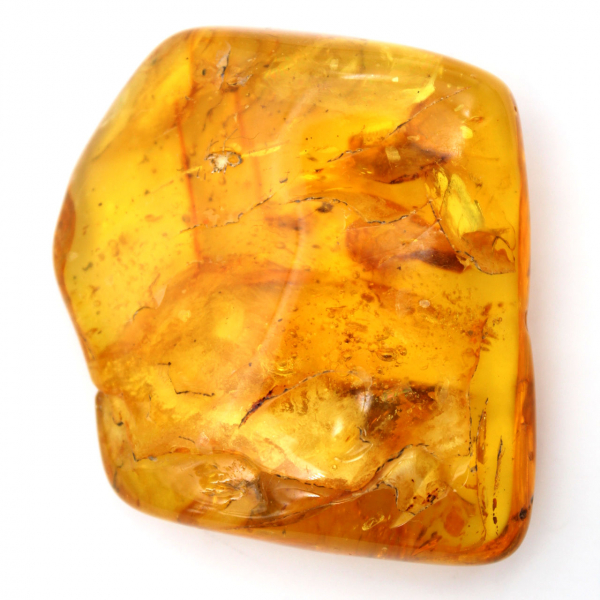 Pedra de Âmbar Amarelo do Báltico – Seixo para Coleção