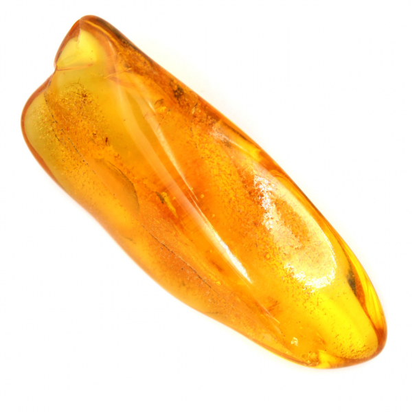 Âmbar Báltico Genuíno – Seixo Mineralogico