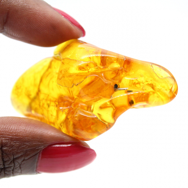 Seixo âmbar amarelo, pedra natural da Lituânia