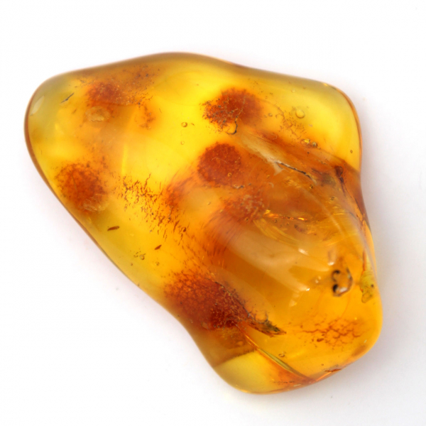 Seixo âmbar amarelo, objeto mineral Lituânia – espécime decorativo