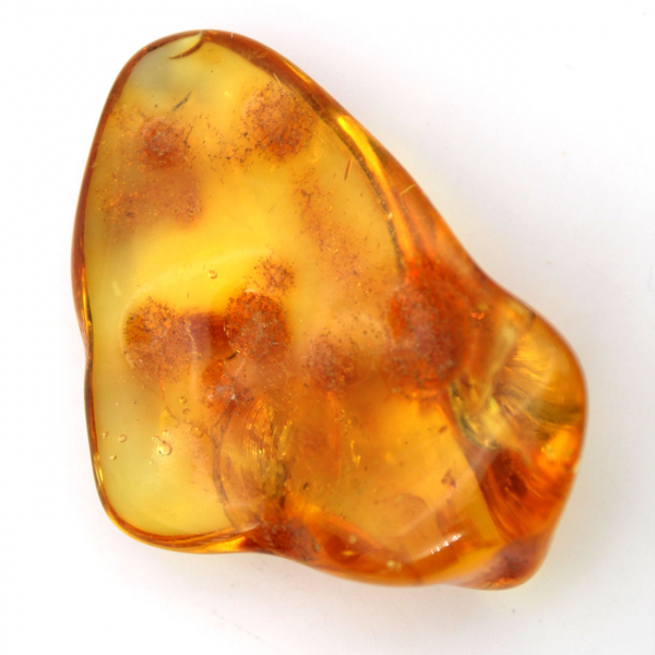 Seixo âmbar amarelo, objeto mineral Lituânia – espécime decorativo