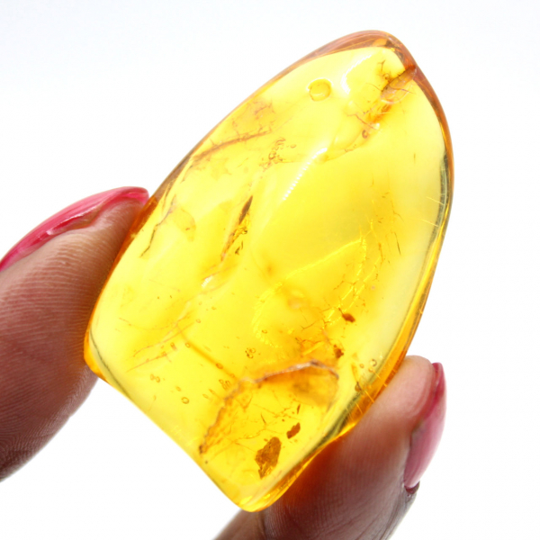 Seixo Âmbar Amarelo – Espécime Báltico, Item Autêntico
