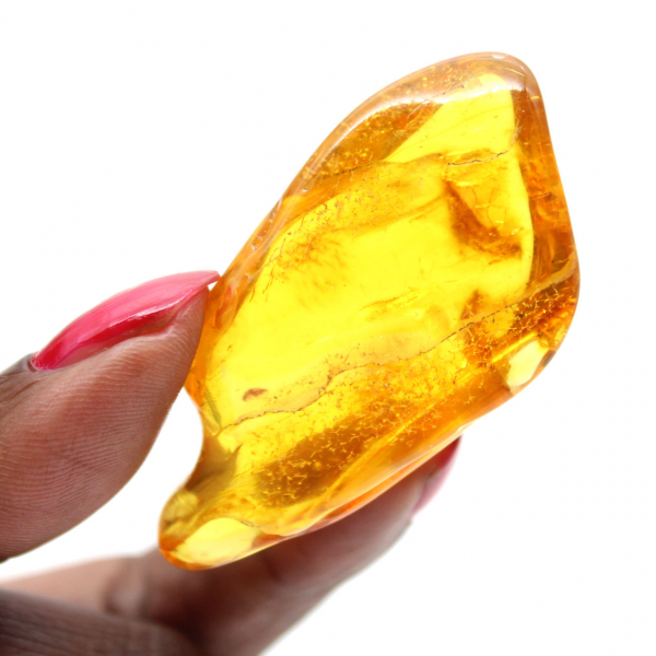 Seixo âmbar amarelo da Lituânia para coleção de fósseis