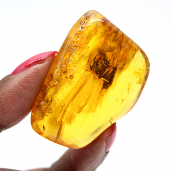 Âmbar do Báltico – Item de seixo mineralogia