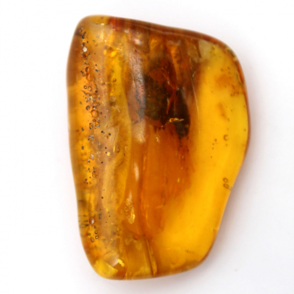 Âmbar do Báltico – Item de seixo mineralogia
