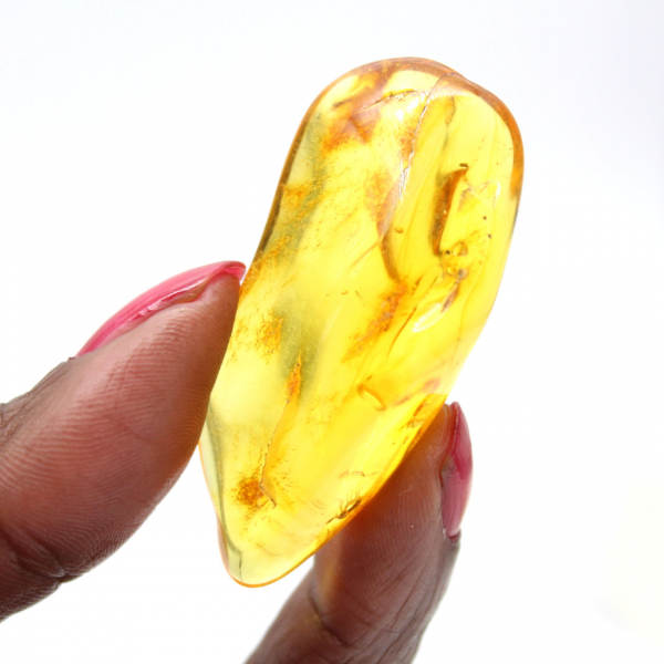 Âmbar amarelo da Lituânia – Seixo natural, espécime de coleção
