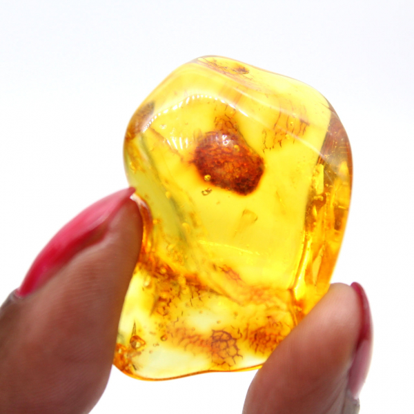 Pequena Pedra Âmbar Amarela – Fóssil Colecionável