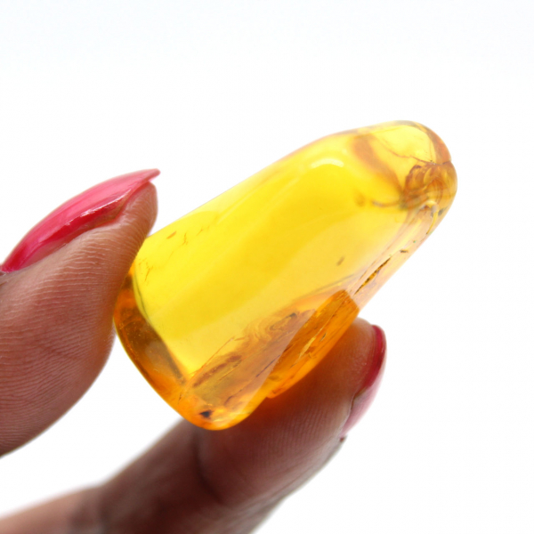 Mini seixo âmbar amarelo do Báltico – fóssil para decoração