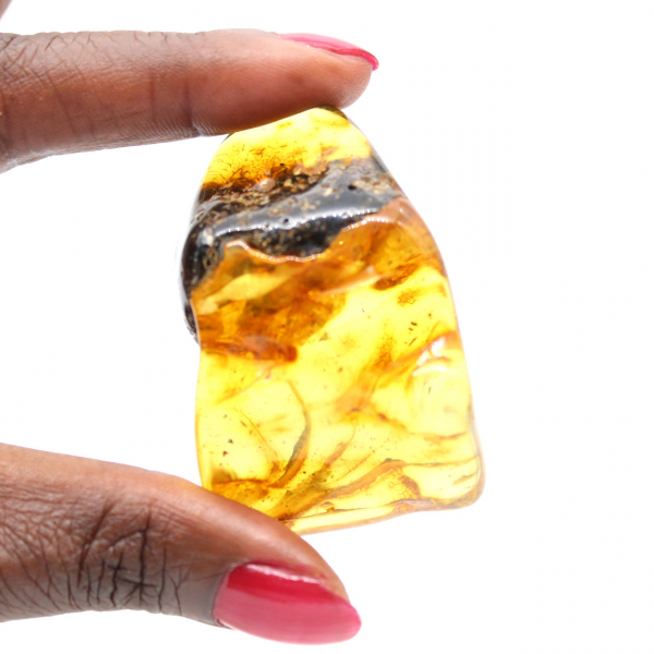 Autêntico seixo de âmbar polido da Lituânia - Espécime de Mineralogia