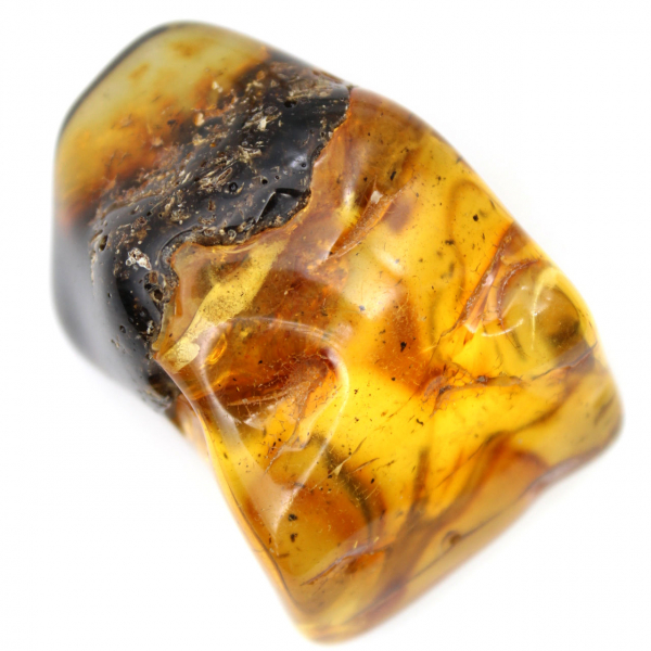 Autêntico seixo de âmbar polido da Lituânia - Espécime de Mineralogia