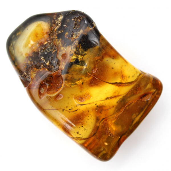 Autêntico seixo de âmbar polido da Lituânia - Espécime de Mineralogia