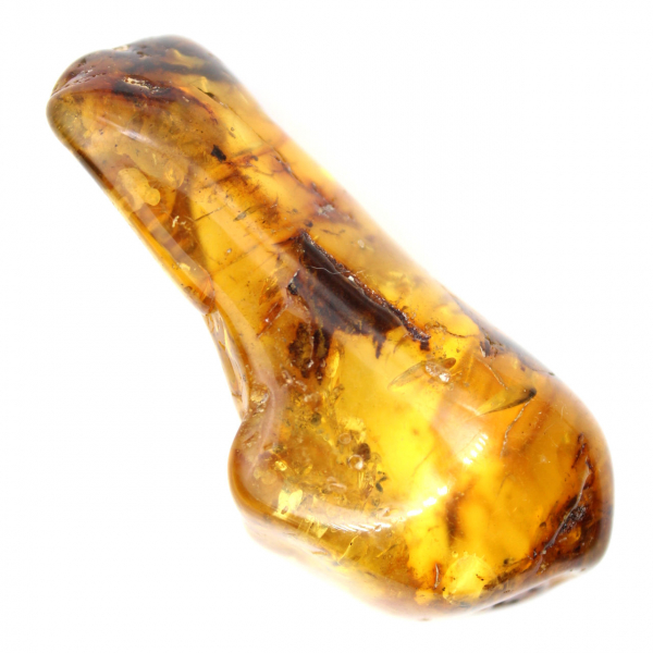 Espécime de seixo de âmbar polido - Decoração e Ciência Geológica