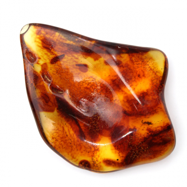 Âmbar lituano polido: seixo para coleção de fósseis