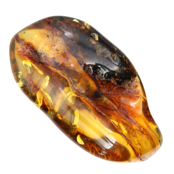 Âmbar lituano: seixo natural para espécime mineralógico