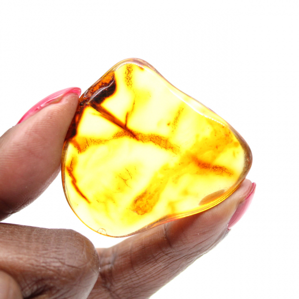 Pequeno seixo de âmbar lituano polido - Autenticidade e ciência