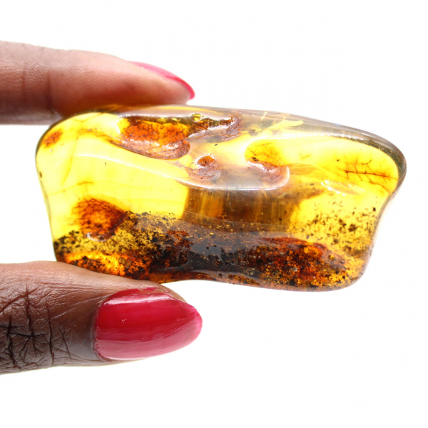 Pequeno seixo de âmbar polido da Lituânia - Coleção Mineralógica