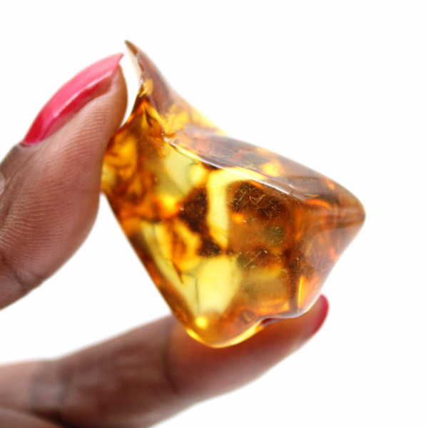 Seixo de âmbar lituano polido - Beleza natural e coleção