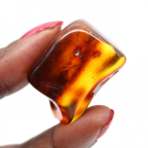 Espécime de seixo de âmbar polido - Decoração de interiores