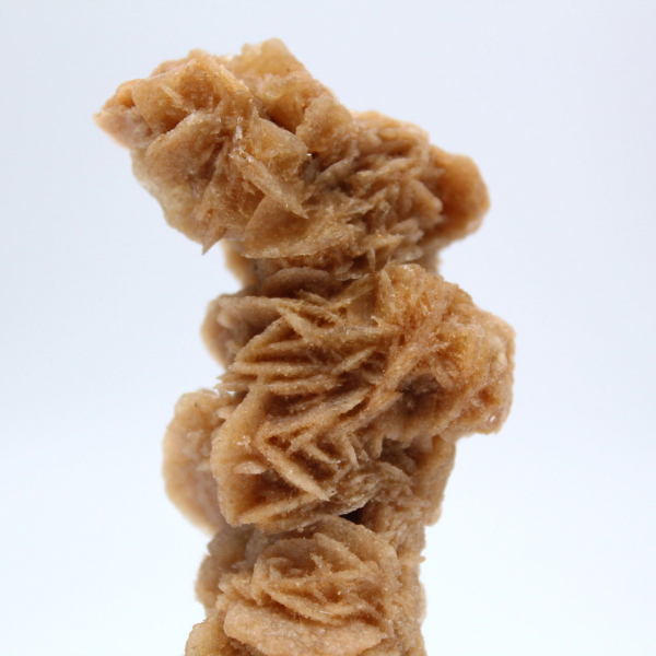 Rosa de areia mineral autêntica