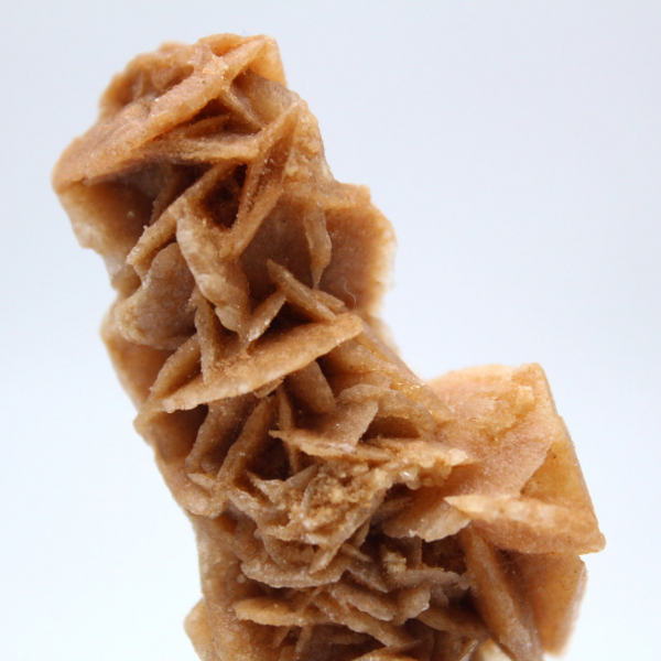 Formação natural autêntica de rosas de areia