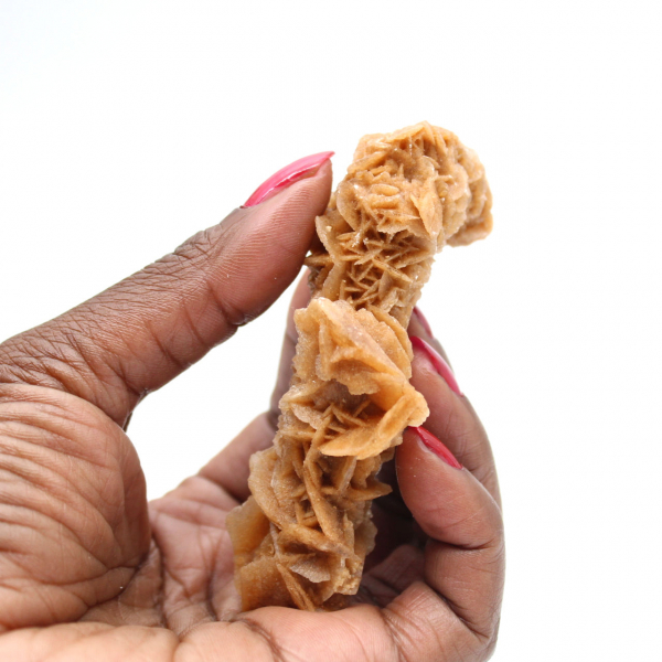 Formação natural autêntica de rosas de areia